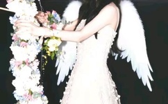 高清插管gif动态图第90期